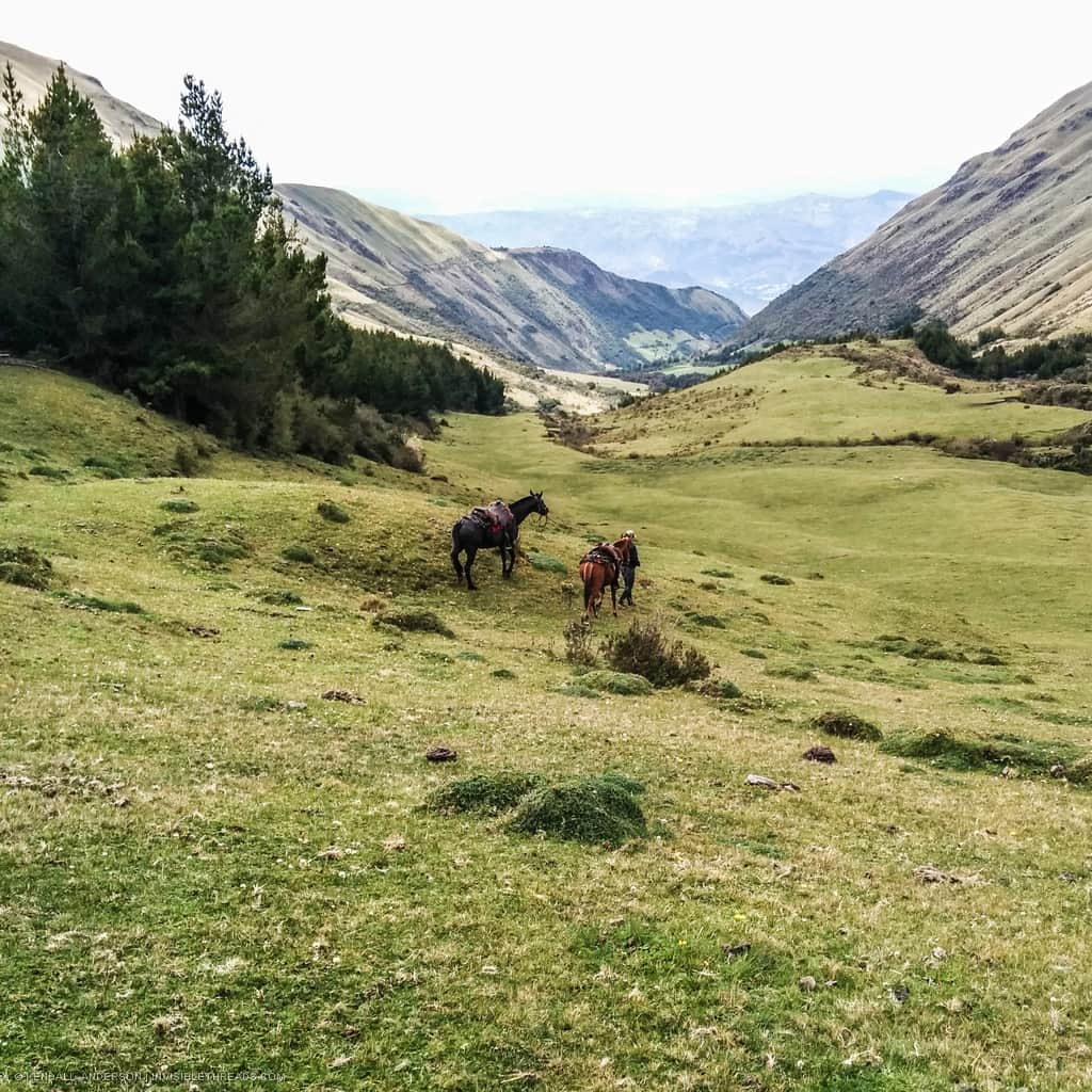 A man tends to two horses in a lush green valley, with the Andes mountains rising to both sides and in the distance.